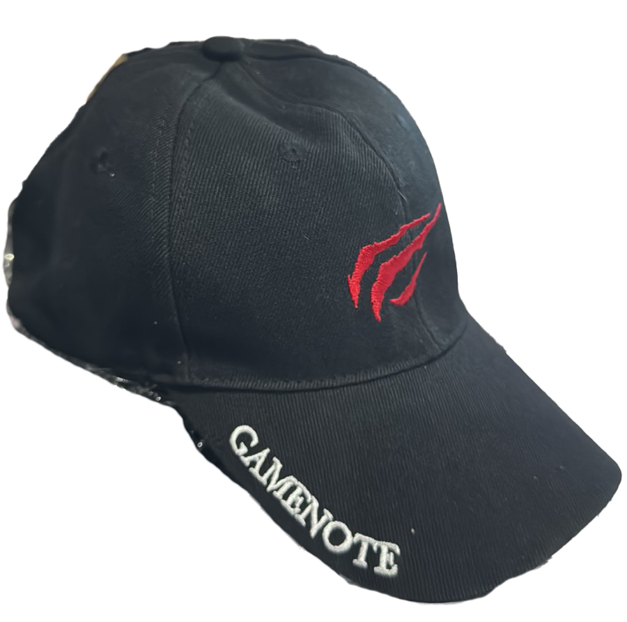 Havit Cap HV- WG002