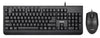 HAVIT KB540CM Multimedia Keyboard and Mouse